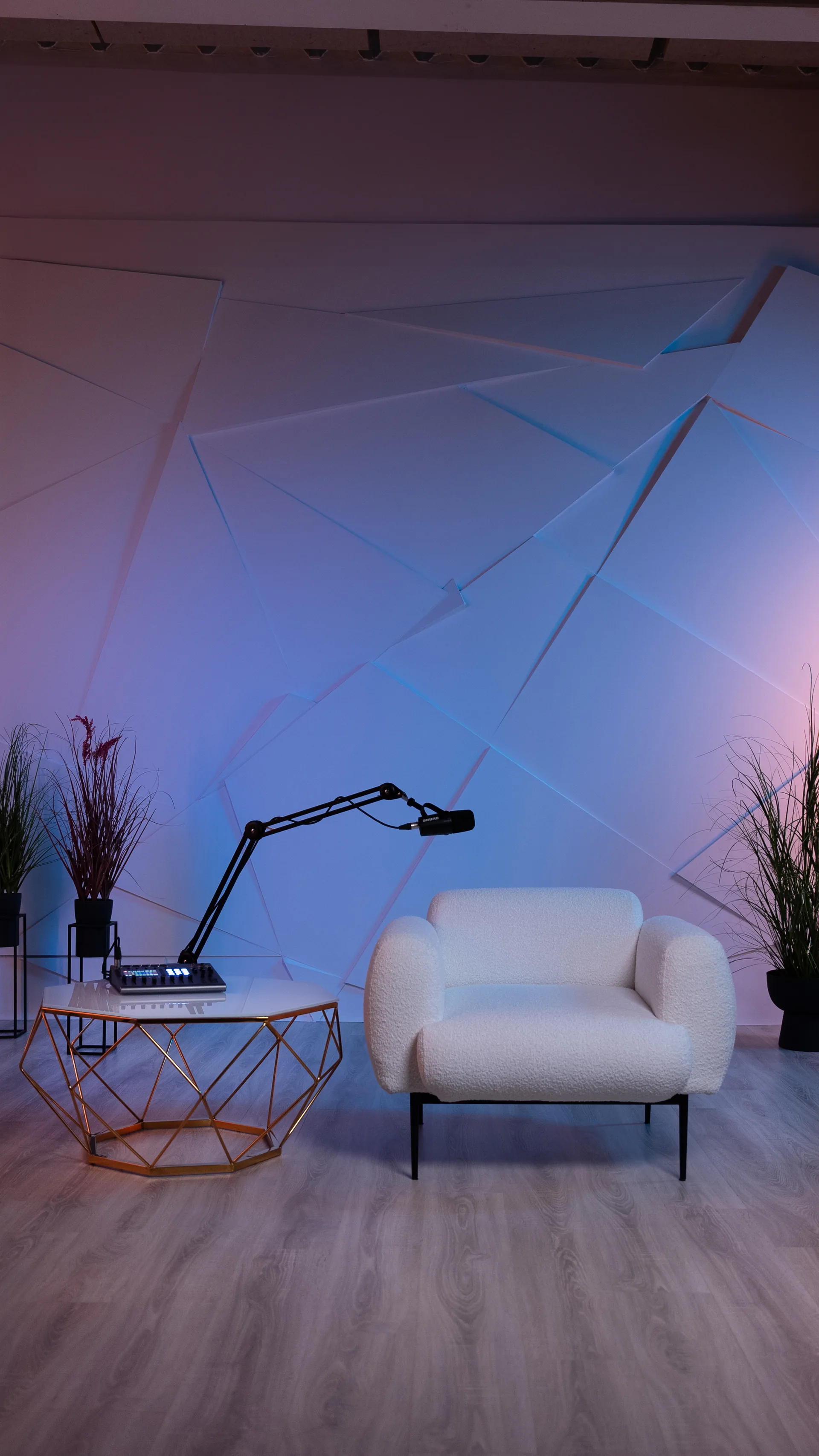 Золота Кнопка — інтер'єр студії